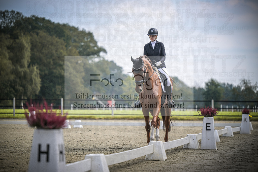 DOS_B652 | Entdecke hochwertige Reitturnierfotos von Foto Oger. Professionell, emotional und authentisch – jetzt Lieblingsmomente im Shop bestellen.Deutschlandweite Turnierfotografie. - Realisiert mit Pictrs.com