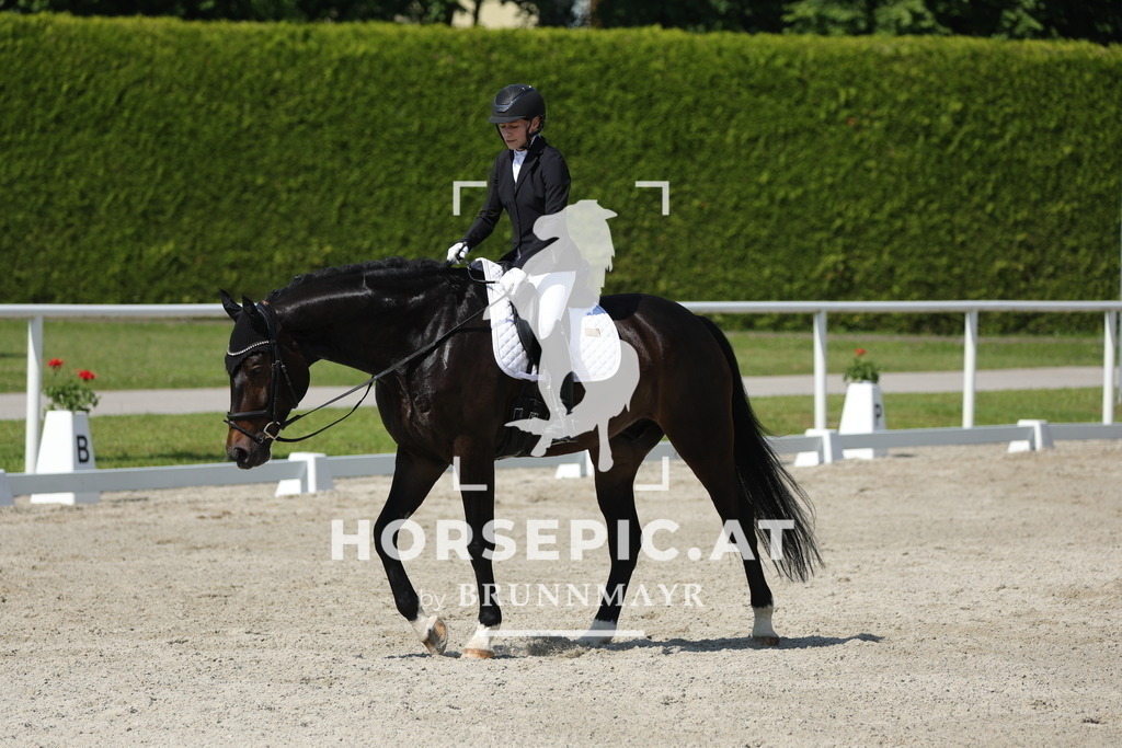 0P6A0659 | Willkommen bei Brunnmayr - Design & Fotografie – Ihrem Spezialisten für Reitturniere und Pferdeveranstaltungen in Oberösterreich, Salzburg und Bayern! Seit über 17 Jahren sind wir leidenschaftlich dabei.