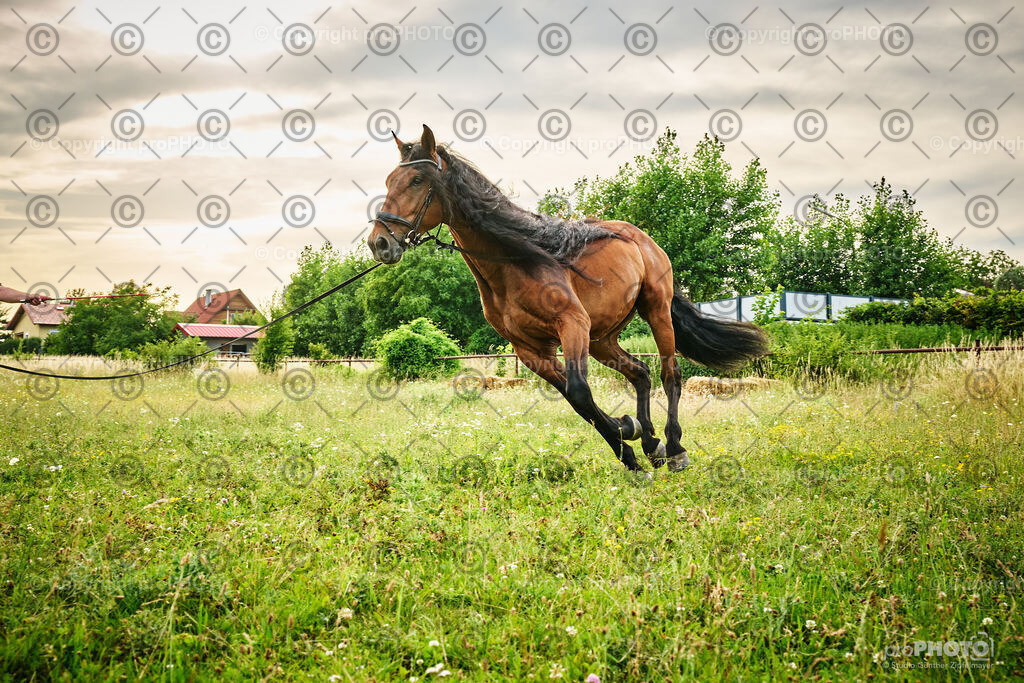 086_202406_Niki-Herodes_NZ9_9819 | proPHOTO - Realisiert mit Pictrs.com