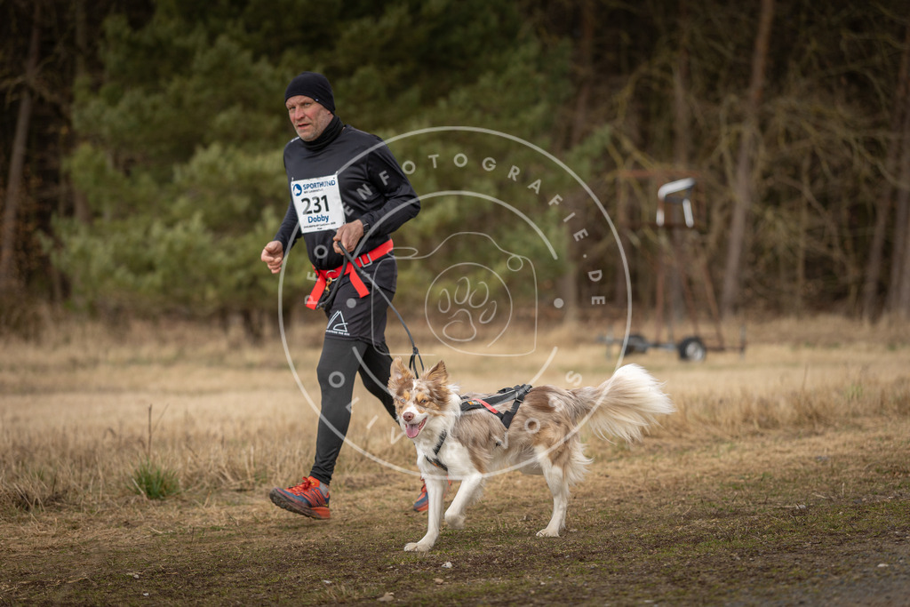 DV3A5354 | Hundefotografie, Tierfotograf, Pfotenfotografie, Fotoshooting Hund, Hunde Portrait, Hundesport, Hundeportraits, Heideshooting, Hunde, Sportfotograf, Hundefotograf, Turnierhundsport, THS,  - Realisiert mit Pictrs.com