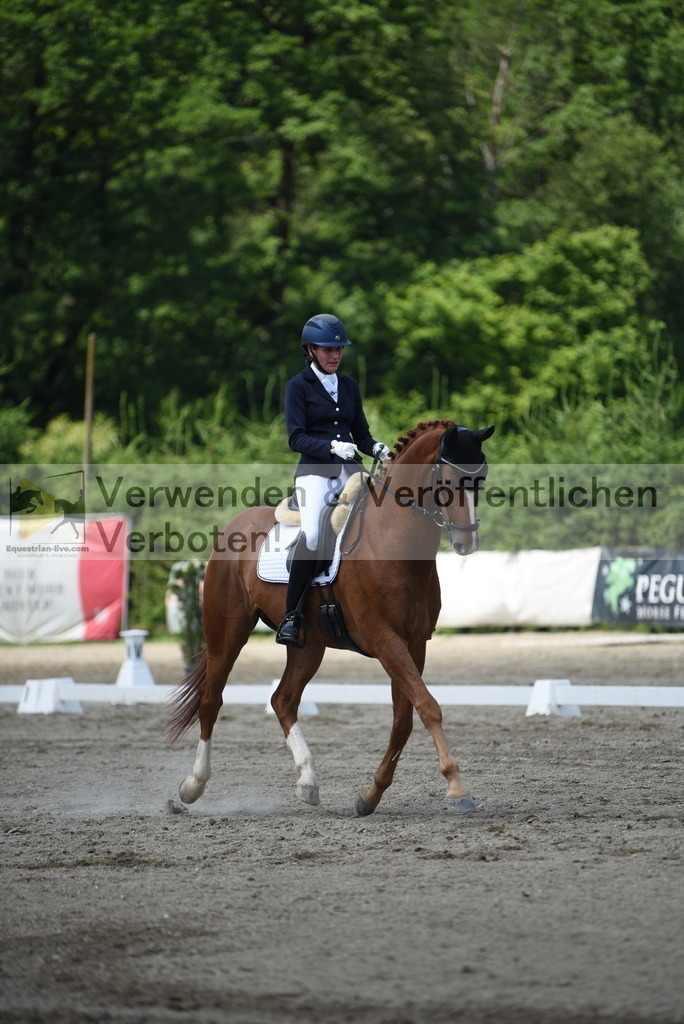DSC_9363 | equestrian-live-com