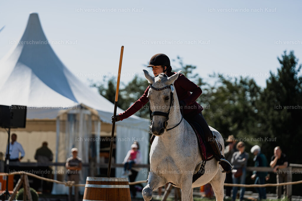 Kelly4_FHC2025-08870 | working equitationturnier fotograf videograf stoibphotography marixx film working equitation deutschland reitsport turnierfotografie eventfotografie equestrian events
