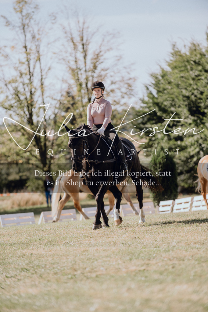 DSC_7043 | Pferde- und Turnierfotografie in Westsachsen. Pferdeportraits, Auftragszeichnungen und intuitive Kunst.