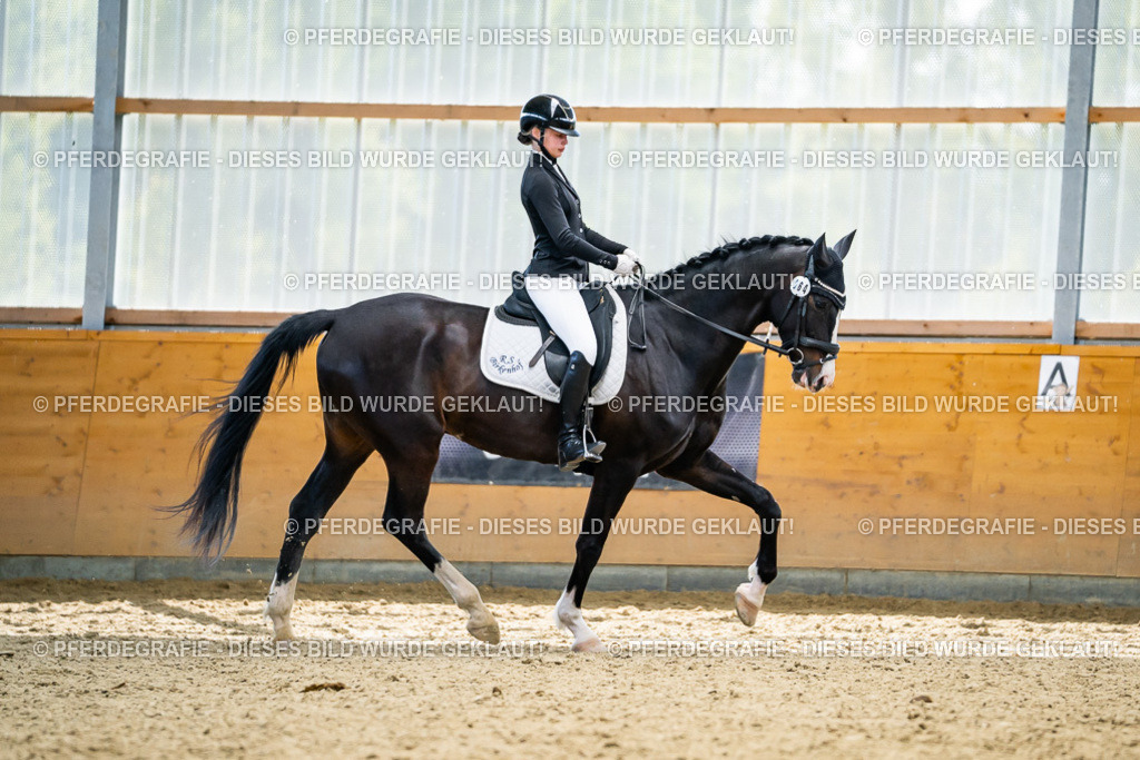 DSC05836 | Pferdegrafie