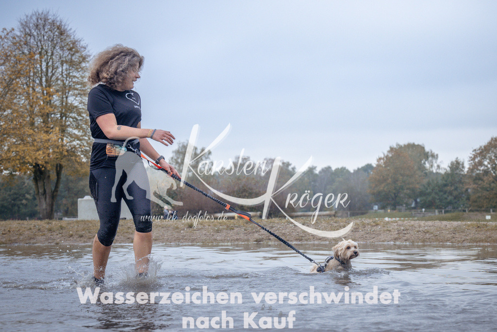 1155_ZZ97280 | kk-dogfotos
