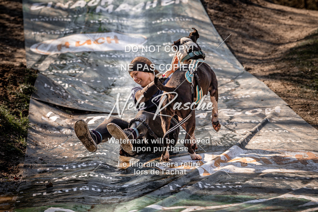 nelerasche_Hulsbeek_So1300-1330_474 | nelerasche