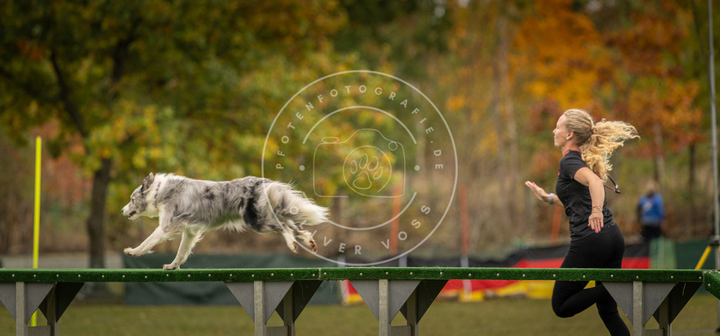 Pfotenfotografie_DV3A6807 | Hundefotografie, Tierfotograf, Pfotenfotografie, Fotoshooting Hund, Hunde Portrait, Hundesport, Hundeportraits, Heideshooting, Hunde, Sportfotograf, Hundefotograf, Turnierhundsport, THS,  - Realisiert mit Pictrs.com