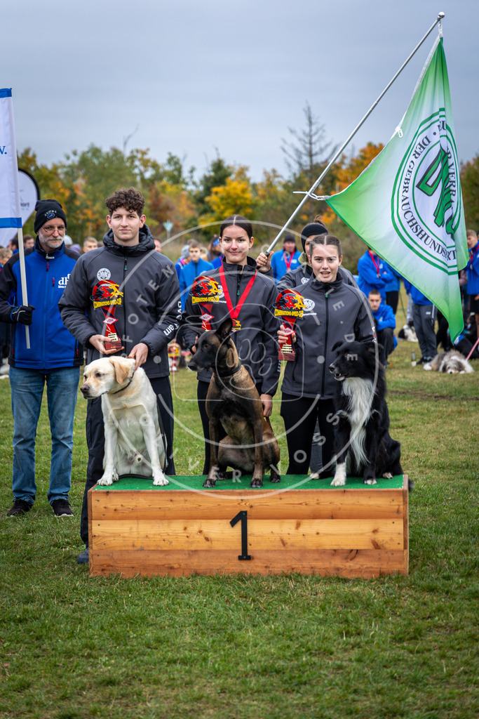 Pfotenfotografie_0L8A0704 | Hundefotografie, Tierfotograf, Pfotenfotografie, Fotoshooting Hund, Hunde Portrait, Hundesport, Hundeportraits, Heideshooting, Hunde, Sportfotograf, Hundefotograf, Turnierhundsport, THS,  - Realisiert mit Pictrs.com