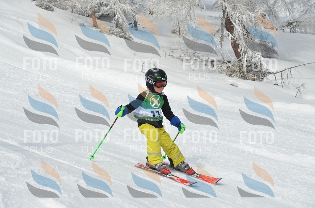 D8552 | holidayphoto