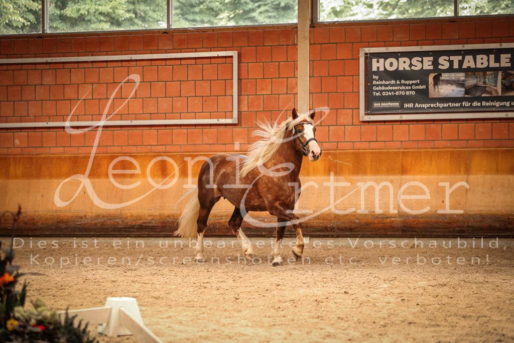 SaFL00477 | Leoni Ertmer Photography - Realisiert mit Pictrs.com