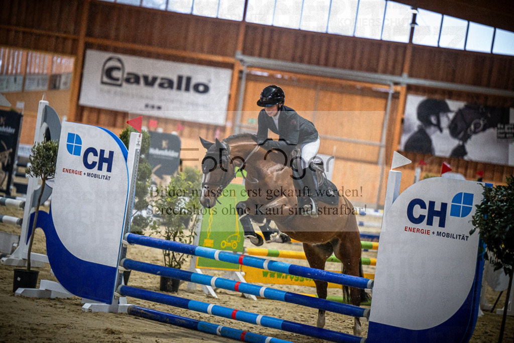 DOS_0564 | Entdecke hochwertige Reitturnierfotos von Foto Oger. Professionell, emotional und authentisch – jetzt Lieblingsmomente im Shop bestellen.Deutschlandweite Turnierfotografie. - Realisiert mit Pictrs.com
