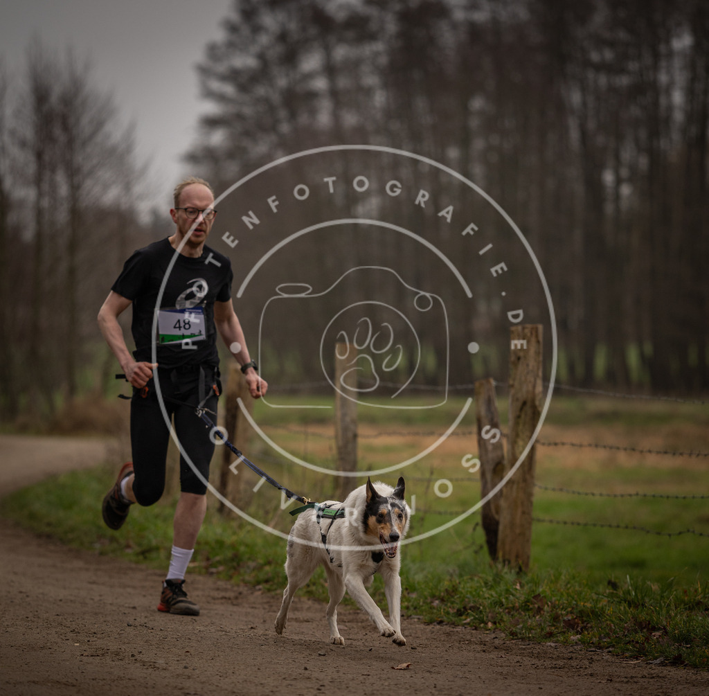 Pfotenfotografie_DV3A2766 | Hundefotografie, Tierfotograf, Pfotenfotografie, Fotoshooting Hund, Hunde Portrait, Hundesport, Hundeportraits, Heideshooting, Hunde, Sportfotograf, Hundefotograf, Turnierhundsport, THS,  - Realisiert mit Pictrs.com