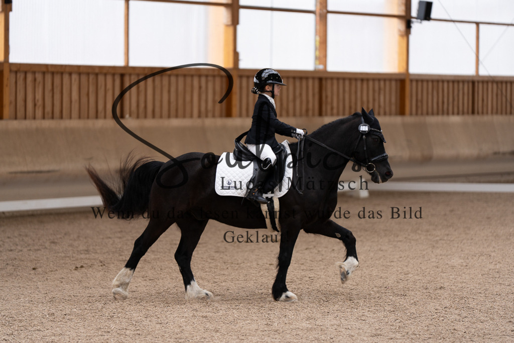 A7507218 | Pferdefotograf