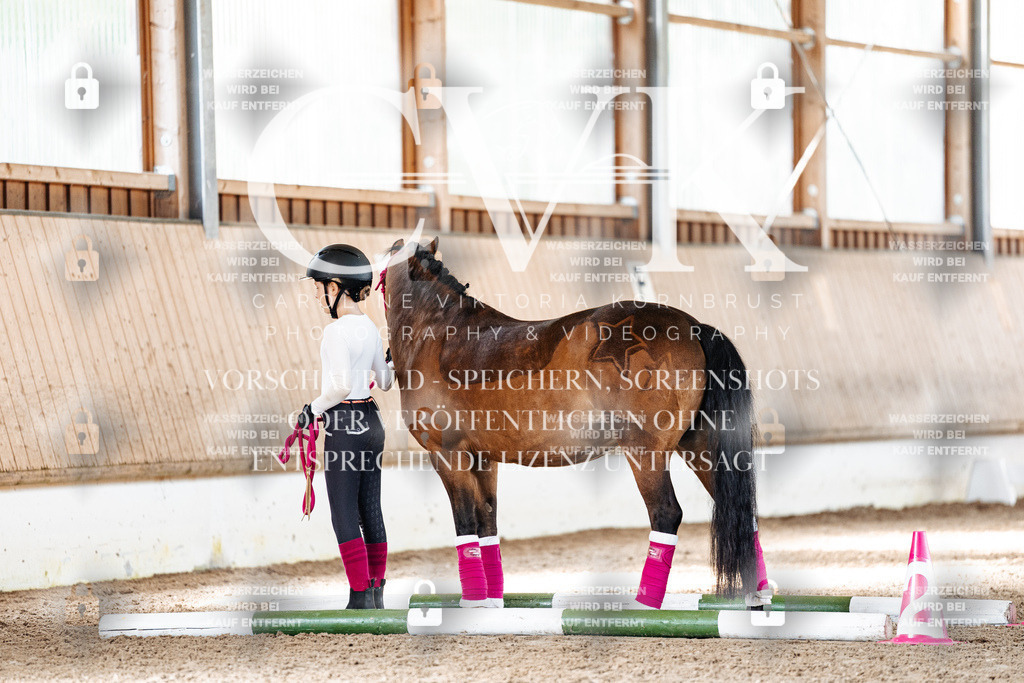 CK905508 | Turnierfotografie Pferdefotografie Trier Rheinland-Pfalz Pferdesport Reitsport Tierfotografie Sportfotografie Pferdevideo Pferdevideografie Equestrianvideography equestrianphotography  - Realisiert mit Pictrs.com