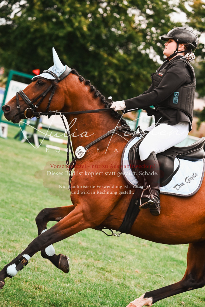 DSC_6050 | Pferde- und Turnierfotografie in Westsachsen. Pferdeportraits, Auftragszeichnungen und intuitive Kunst.