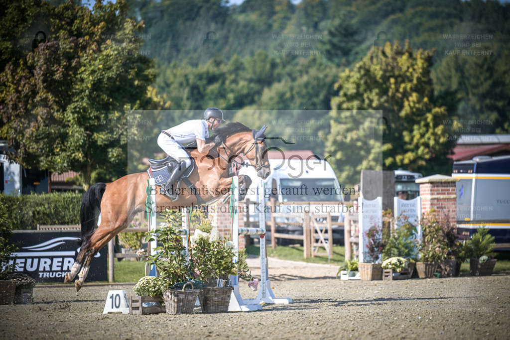 DOS_4441 | Entdecke hochwertige Reitturnierfotos von Foto Oger. Professionell, emotional und authentisch – jetzt Lieblingsmomente im Shop bestellen. - Realisiert mit Pictrs.com