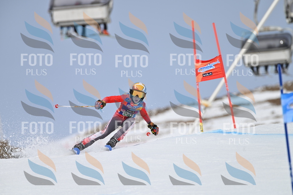 BGV_4806 | holidayphoto