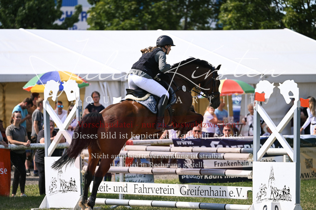 DSC_0511 | Pferde- und Turnierfotografie in Westsachsen. Pferdeportraits, Auftragszeichnungen und intuitive Kunst.