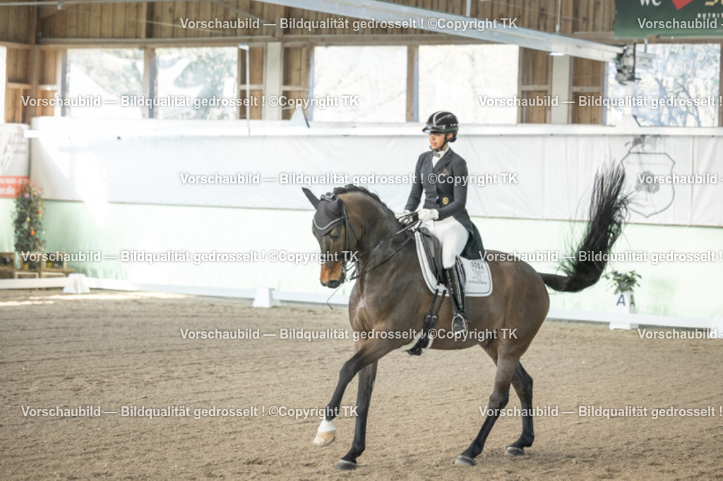 _D5A8052 | Emotionale Pferde- & People-Fotografie rund um Heidelberg, Leimen & Umgebung. Natürliche Fotos von Pferd, Mensch & Familie. Jetzt Termin sichern!