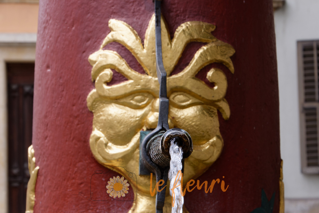 Hui, jetzt bin ich fast nass geworden! | Dies ist der Shop von Florian Blum - le fleuri. Langenthal, Bern, SchweizSie können hier meine oder ihre eigenen Fotos als Fotoprodukte kaufen. Tassen, Schlüsselanhänger, Taschen etc. können Sie hier gestalten.  - Realisiert mit Pictrs.com