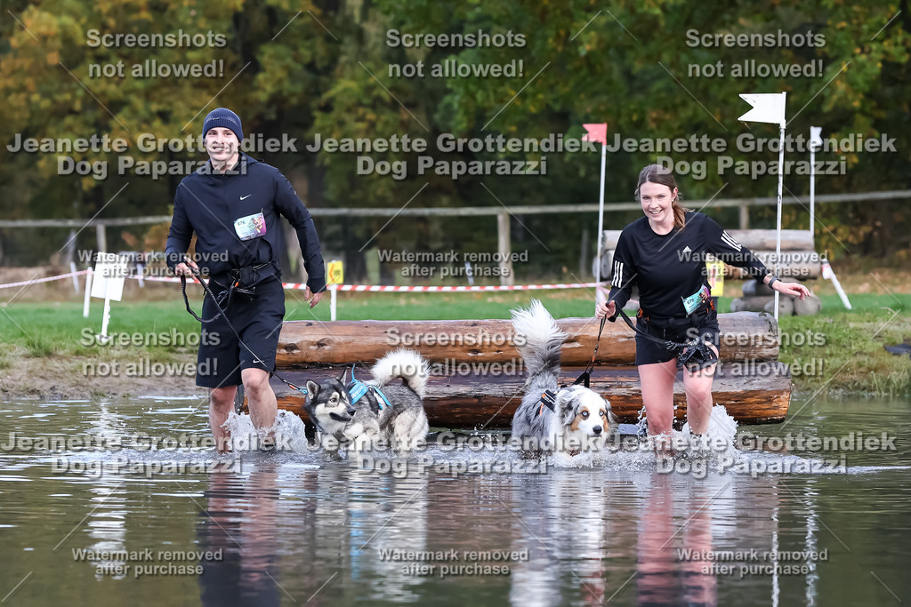 Dog Paparazzi - Strongdog 10-25-6883 | Dog Paparazzi Jeanette Grottendiek Fotografie & Videografie - Realisiert mit Pictrs.com