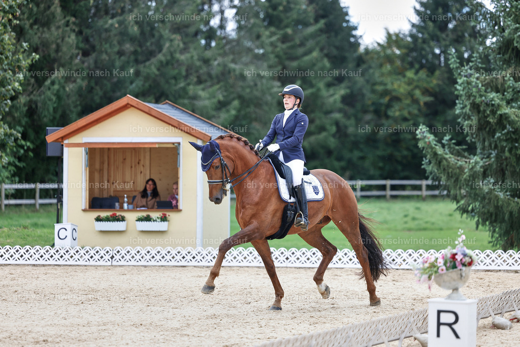04_1-143-Dressur M__ -StoibPH-StoibPH-2690 | working equitationturnier fotograf videograf stoibphotography marixx film working equitation deutschland reitsport turnierfotografie eventfotografie equestrian events