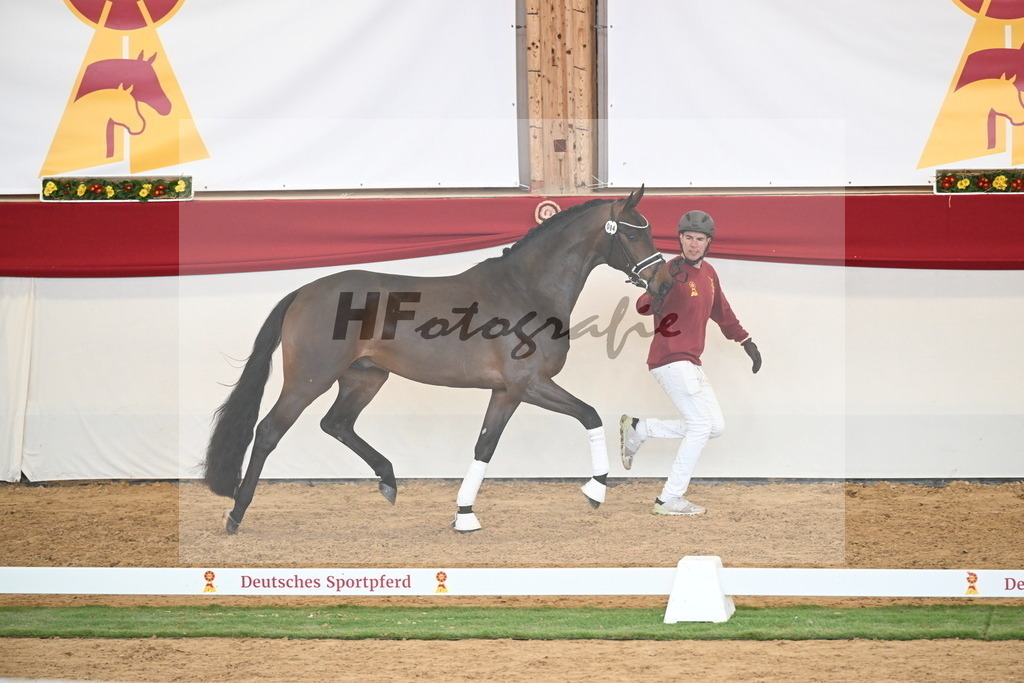 Kat.-Nr. 64 v. Fürst Zonik PS_Raedecke_2250547 | hf-fotografie - Realizzato con Pictrs.com