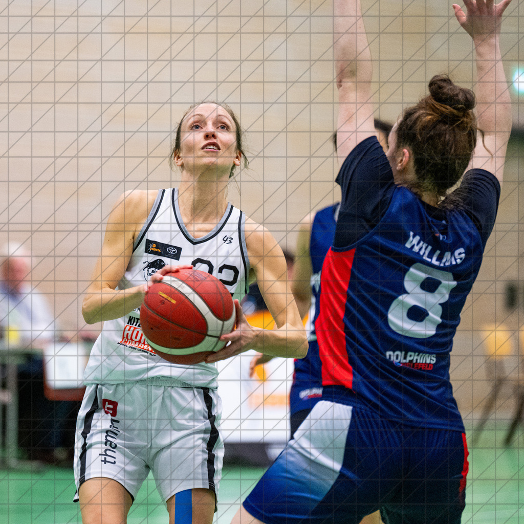 2. DBBL Nord 24/25 | 27.10.2024 | BBC OS vs. TSVE Bielefeld | 2. DBBL Nord 24/25 | 27.10.2024 | BBC OS vs. TSVE Bielefeld - - - - - CREDIT, www.bullenfotos.de, Martin König, Hörner Weg 40, D-49078 Osnabrück, +4917663732967, Nutzung und Weitergabe nur zu den vereinbarten Zwecken. Presseanfragen an Urheber. Alle Rechte beim Urheber. - - - - - - Realisiert mit Pictrs.com