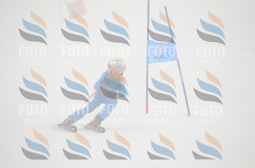 C1622 | holidayphoto