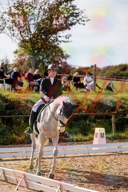 2026_10_03_Siefer-Hof_122646_Z63_47376993 | Professionelle Reitsport-, Turnier- und Eventfotografie von Robert Broda. Galerien mit ausgewählten und bearbeiteten Bildern direkt online ansehen und bestellen.