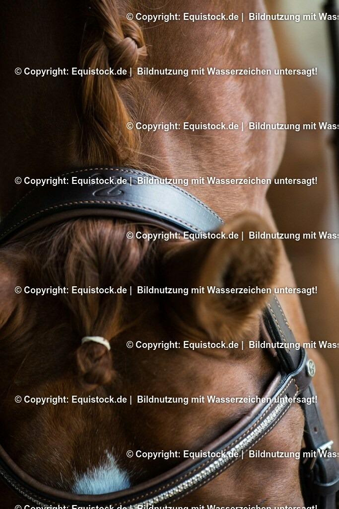 TS_20170624_Details_Trense_0002 | Foto: Thomas Hartig