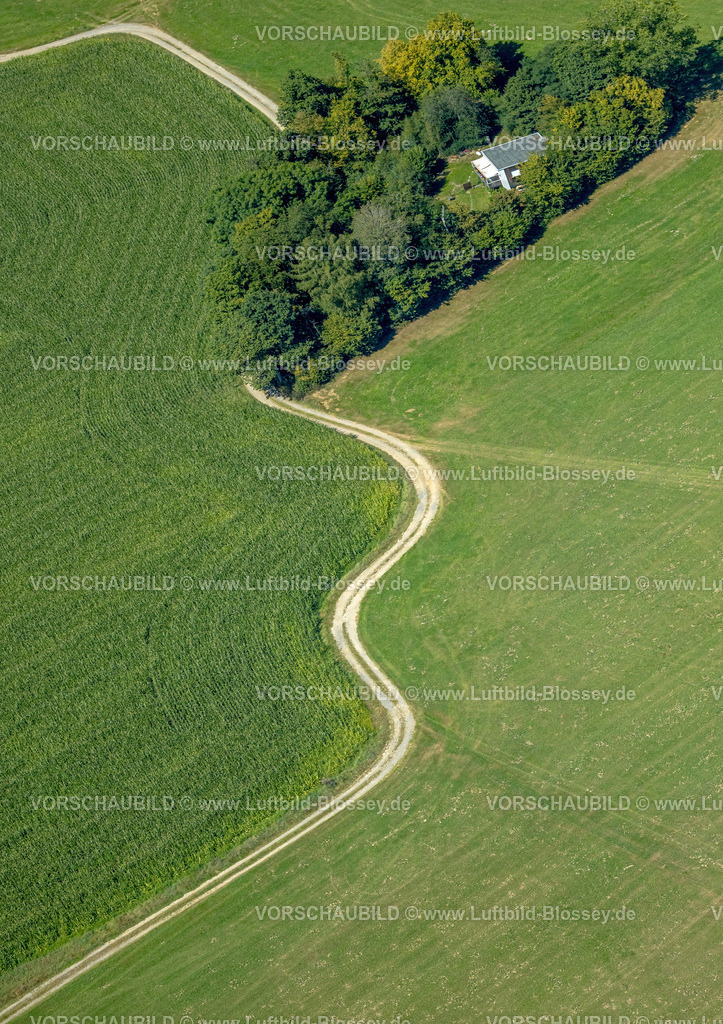 Kierspe250813216 | Luftbild, geschwungener Weg zu einem Waldstück in Dörscheln, Formen und Farben,Elbringhausen, Kierspe, Sauerland, Nordrhein-Westfalen, Deutschland
