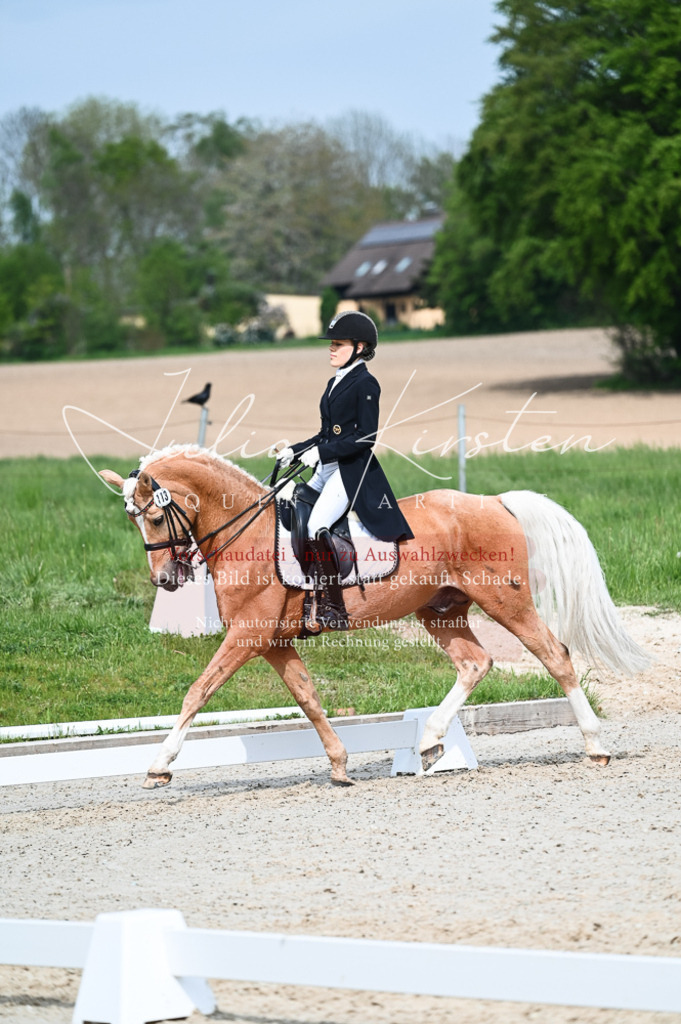 20230513_JK-Röhrsdorf-12-310 | Pferde- und Turnierfotografie in Westsachsen. Pferdeportraits, Auftragszeichnungen und intuitive Kunst.