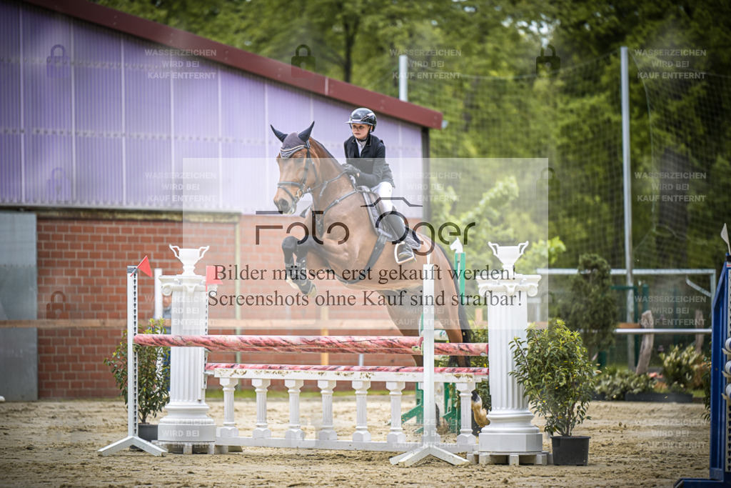 DOS_5979 | Entdecke hochwertige Reitturnierfotos von Foto Oger. Professionell, emotional und authentisch – jetzt Lieblingsmomente im Shop bestellen.Deutschlandweite Turnierfotografie. - Realisiert mit Pictrs.com