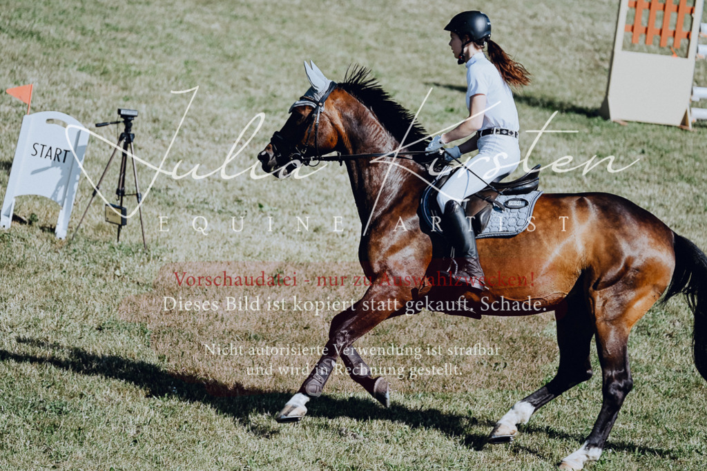 DSC_2062 | Pferde- und Turnierfotografie in Westsachsen. Pferdeportraits, Auftragszeichnungen und intuitive Kunst.