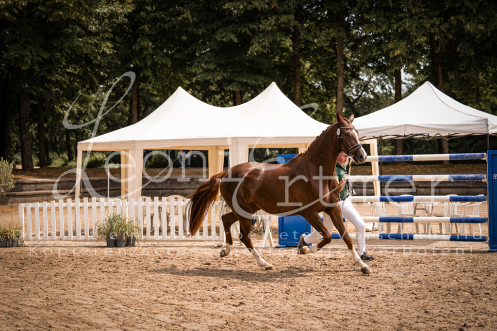 3.Fr00076 | Leoni Ertmer Photography - Realisiert mit Pictrs.com