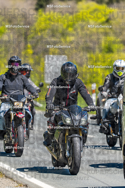 MSFotoServiceXXX321 | MSFotoService - Realisiert mit Pictrs.com