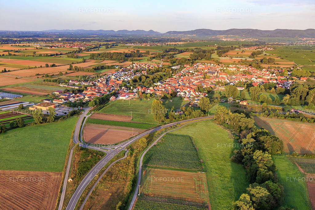 Luftbild: Ortsansicht von Osten im Ortsteil Geinsheim in Neustadt im Bundesland Rheinland-Pfalz in Deutschland. Foto: IMG_116589.jpg vom 11.08.2019 durch Werner Riehm/FLY-FOTO.de