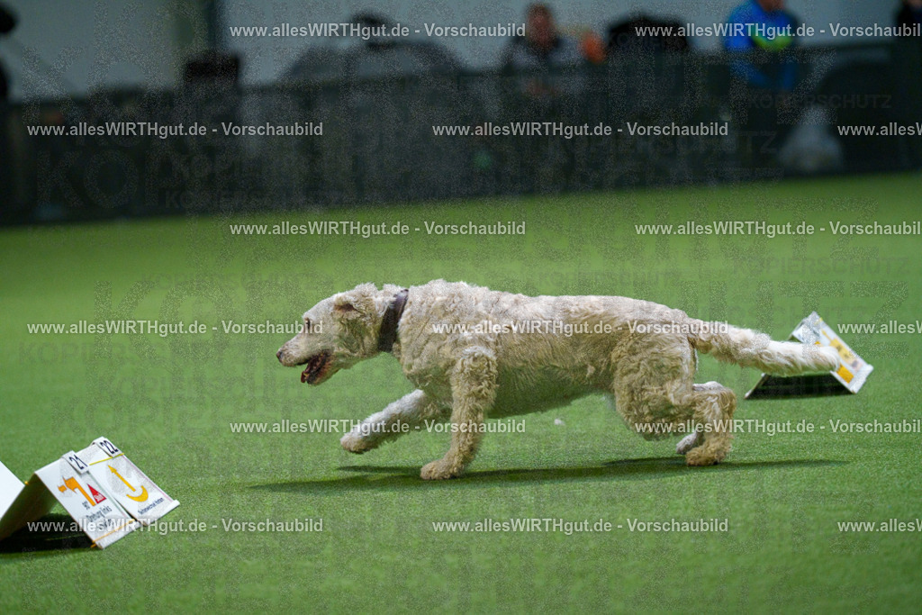 7R500805 | Professionelle Tierfotografie in Mönchengladbach von Daniel Wirth (allesWIRTHgut). Liebevolle & natürliche Bilder von Hunden & Katzen für unvergessliche Erinnerungen.