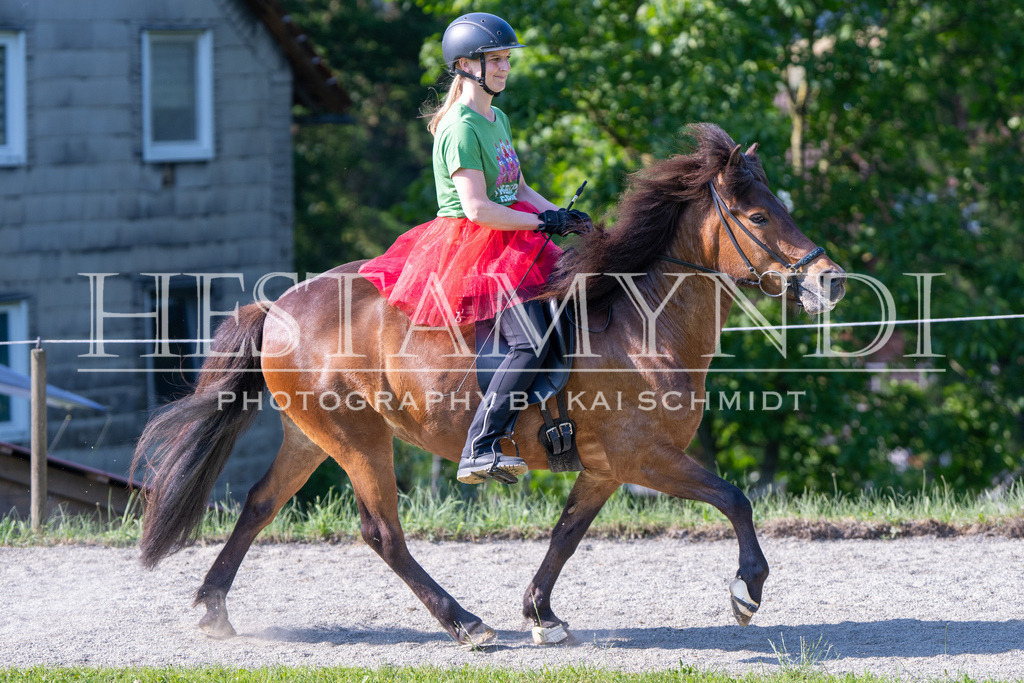 KAI07029 | Ihr sucht einen Fotografen für eure nächste OSI? Ich begleite auch euer Turnier für Islandpferde fotografisch.  - Realisiert mit Pictrs.com