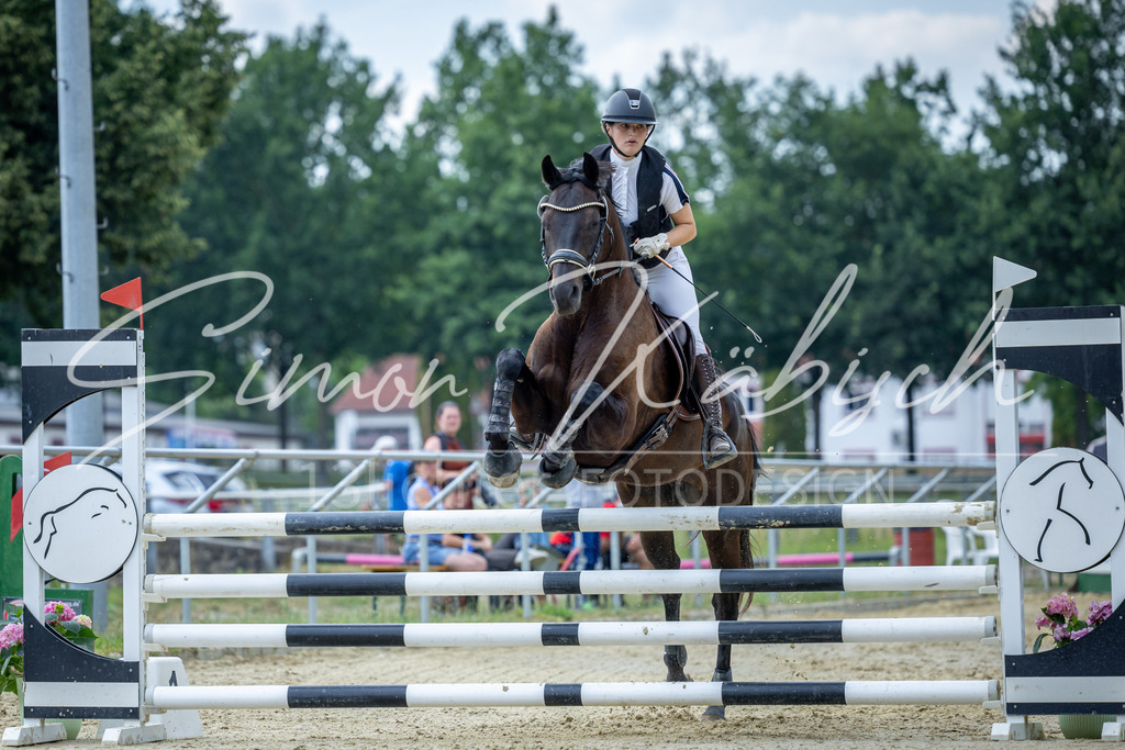 20260704-_3LI1659 | Tierfotografie Pferde, Hunde, Katzen, Haustiere.
Turnierfotografie Reitturniere, Reiten, Springreiten, Dressur in Hanau, dem Main-Kinzig-Kreis und dem Rhein-Main- Gebiet um Frankfurt
