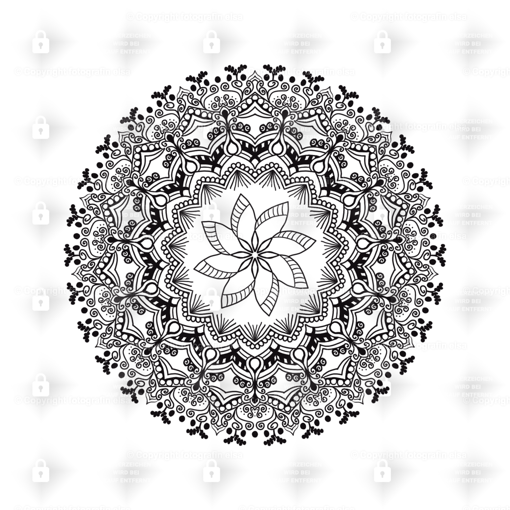 65Seite | fotografinelsa