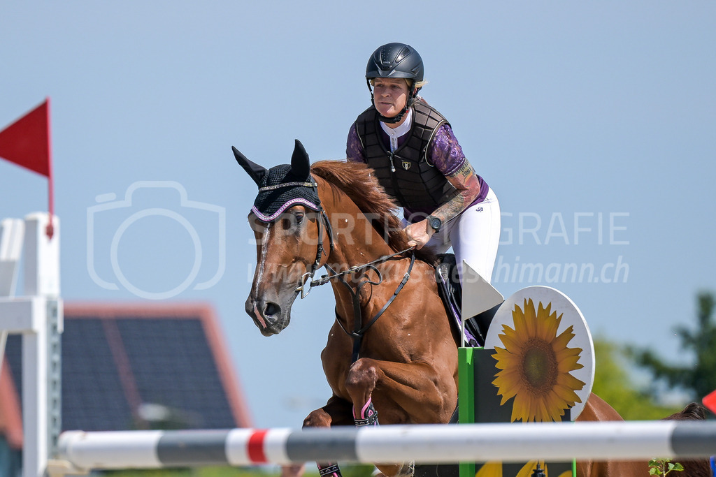 Pferdesporttage Winterthur - 19. July 2025 | Pferdesporttage WinterthurSandplatz Pferdesport-Arena, WinterthurBild: Sportfotografie Markus Aeschimann | www.markus-aeschimann.ch - Realisiert mit Pictrs.com