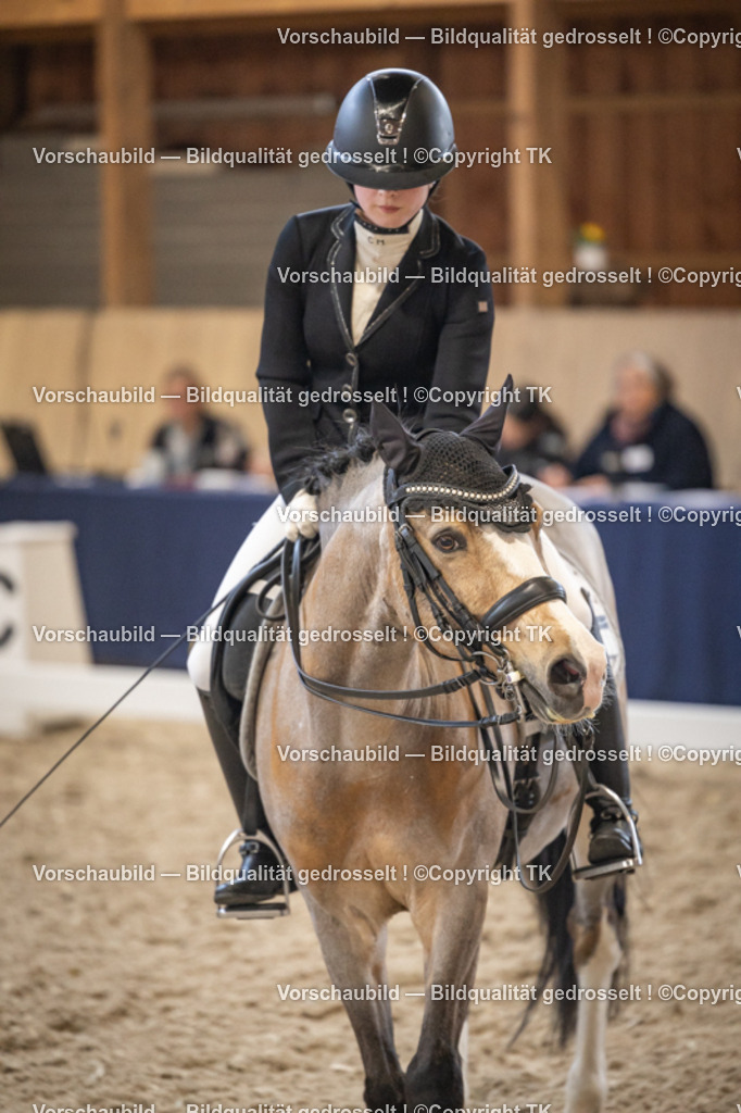 _D5A9121 | Emotionale Pferde- & People-Fotografie rund um Heidelberg, Leimen & Umgebung. Natürliche Fotos von Pferd, Mensch & Familie. Jetzt Termin sichern!