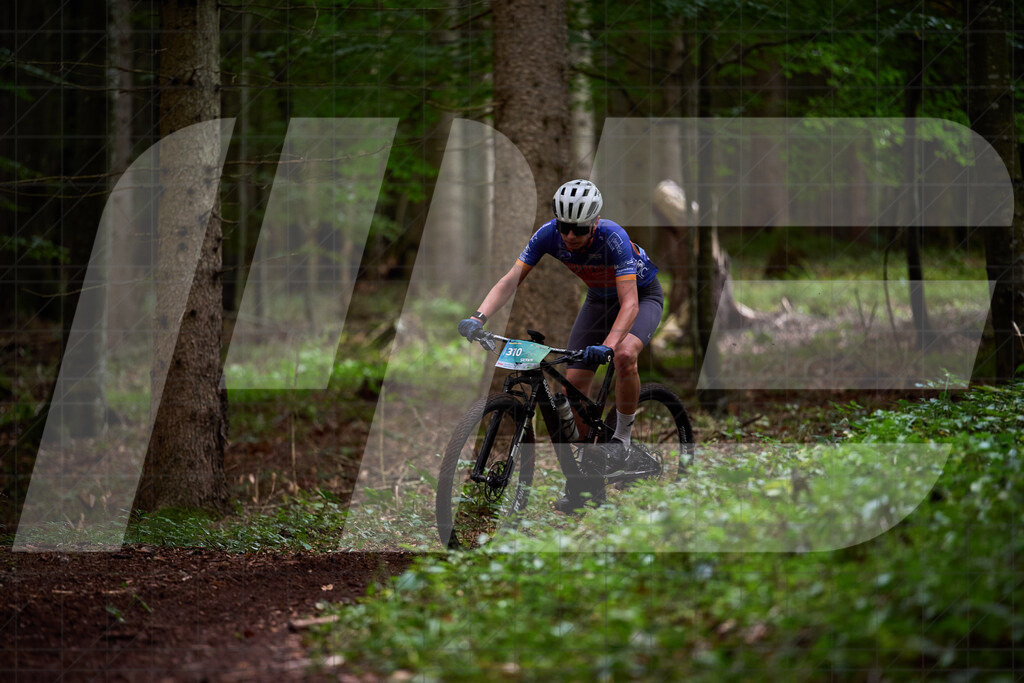 Betriebszentrum Laubenbachmühle, Frankenfels, Österreich - 13. September 2025: Dirndltal Race - Fun und Trophy RaceFotograf: Martin Bihounek / martinbihounek.com | 13. September 2025 Betriebszentrum Laubenbachmühle, Frankenfels, Österreich : Dirndltal Race - Fun und Trophy Race •••••Photo by: Martin Bihounek / martinbihounek.comInsta: @martinbihounekcom