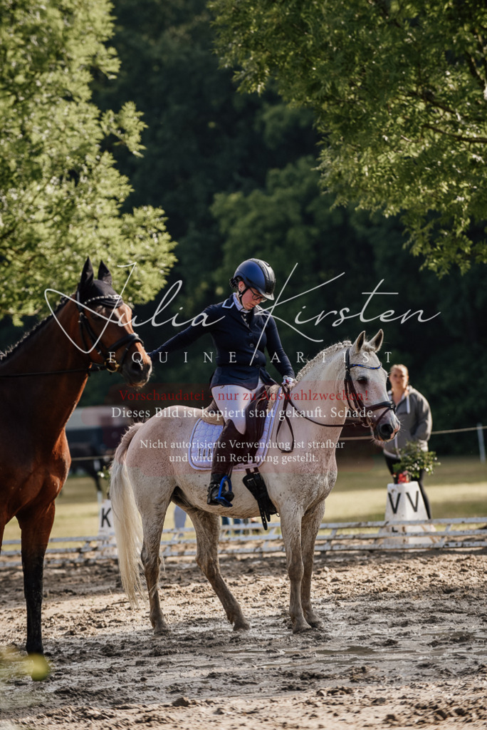 DSC_8069 | Pferde- und Turnierfotografie in Westsachsen. Pferdeportraits, Auftragszeichnungen und intuitive Kunst.
