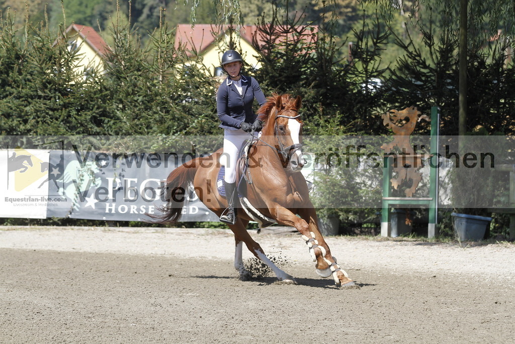 _MG_6214 | equestrian-live-com