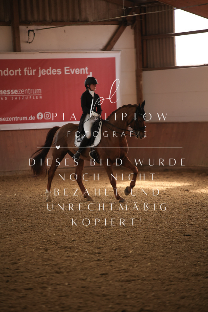 IMGT4767 | pl-fotografie