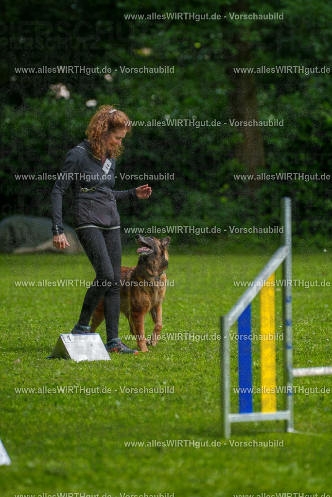 @allesWIRTHgut_Tierfotografie - www.allesWIRTHgut.de - 7R503686 | Professionelle Tierfotografie in Mönchengladbach von Daniel Wirth (allesWIRTHgut). Liebevolle & natürliche Bilder von Hunden & Katzen für unvergessliche Erinnerungen.
