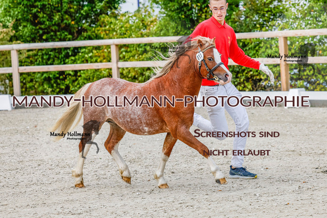 GK (173 von 759) | mandyhollmannphotographie